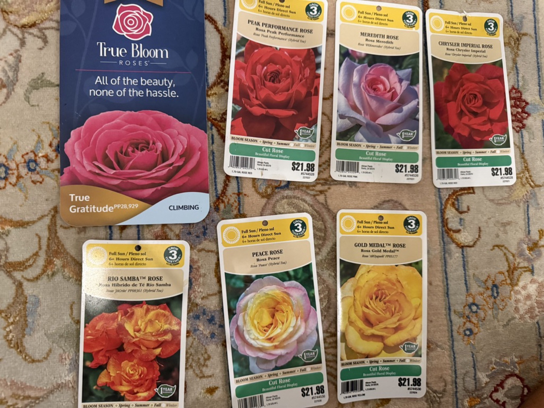 Nursery labels for roses in my garden.